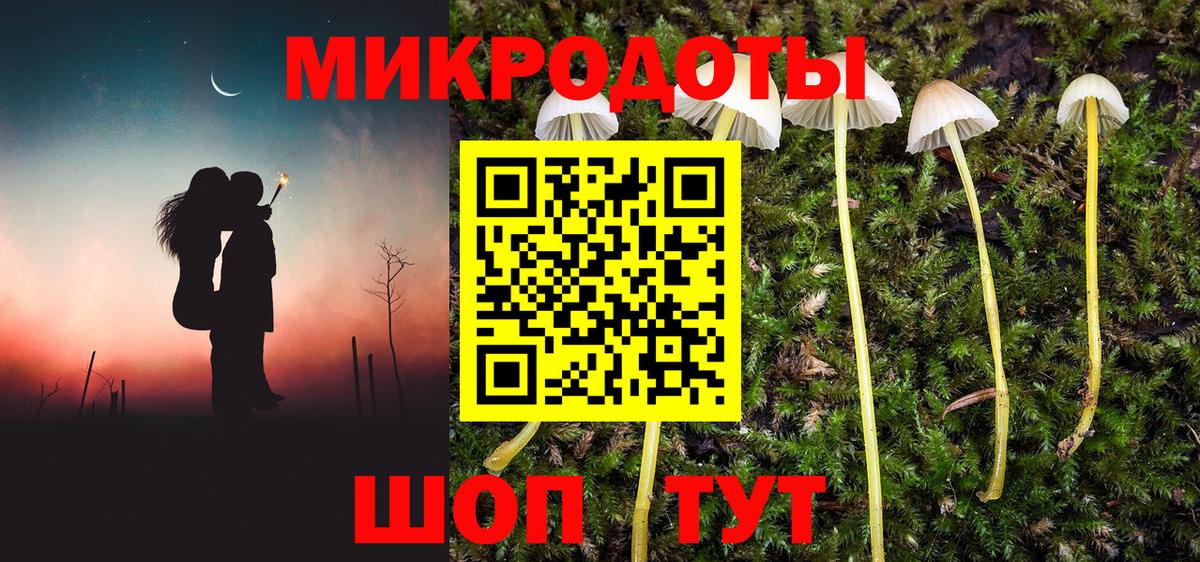 Галлюциногенные грибы MAGIC MUSHROOMS  Псилоцибиновые грибы Psilocybe  Вход с VPN  Новоалтайск 